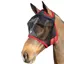 Hy Equestrian Mesh Half Mask without Ears - Black/Red